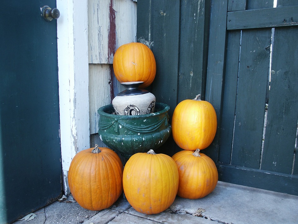 pumpkin halloween ideas