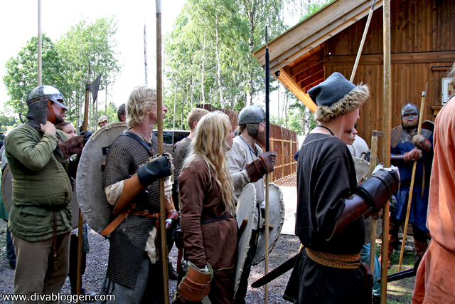 viking_slagetpaborre